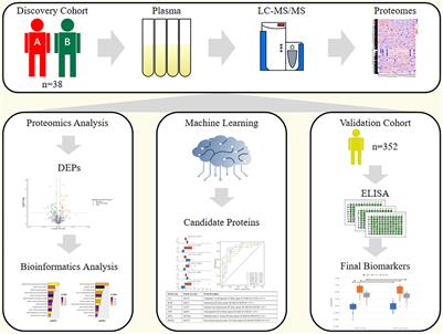 Correlation Between Plasma Proteomics and Adverse Outcomes Among Older Men With Chronic Coronary Syndrome